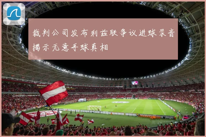 裁判公司发布利兹联争议进球录音揭示无意手球真相