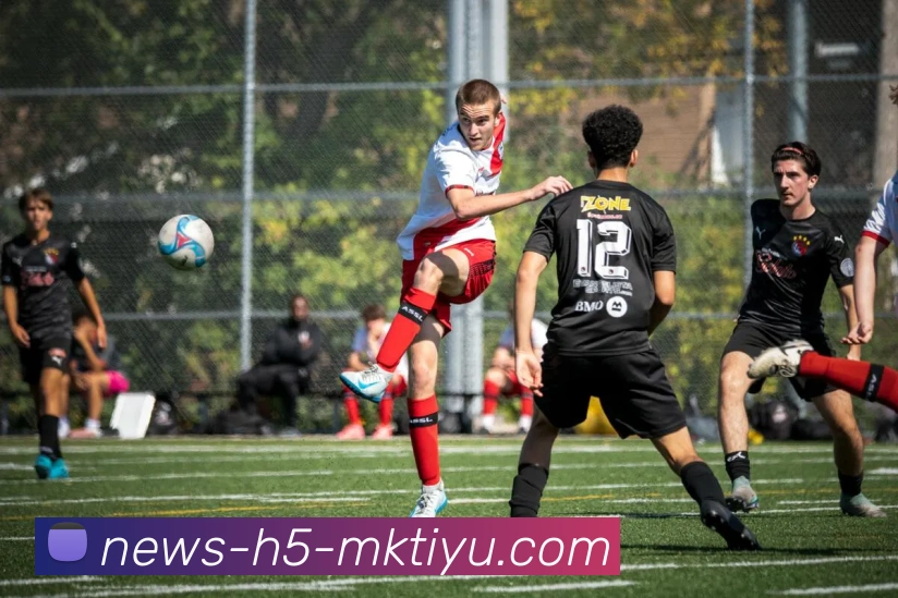 MK体育品牌故事